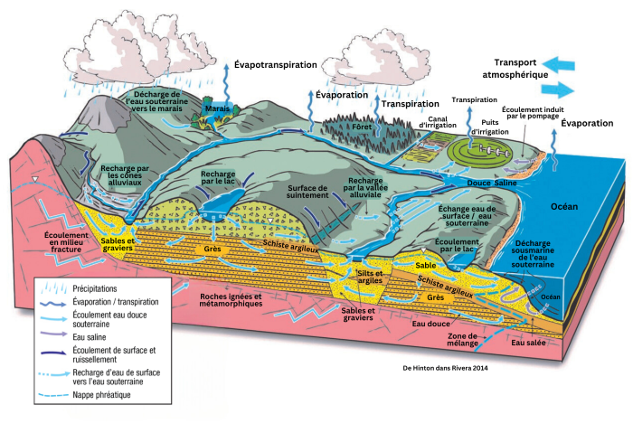 Le cycle hydrologique complet (précipitations, fonte des neiges et interactions entre eaux de surface et eaux souterraines) expliqué dans une représentation graphique.